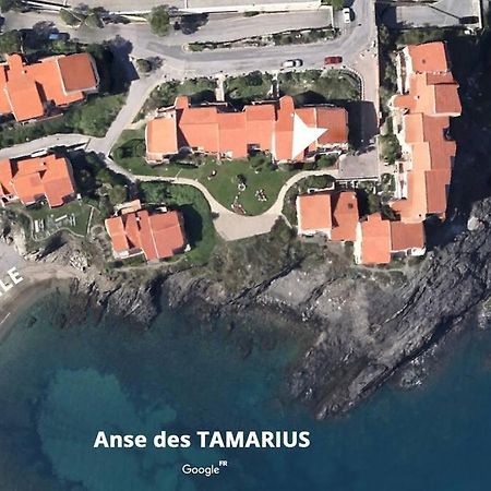 Collioure Appart En Bord De Mer Plage A 50M Clim Garage Location Du Samedi Au Samedi Eksteriør bilde