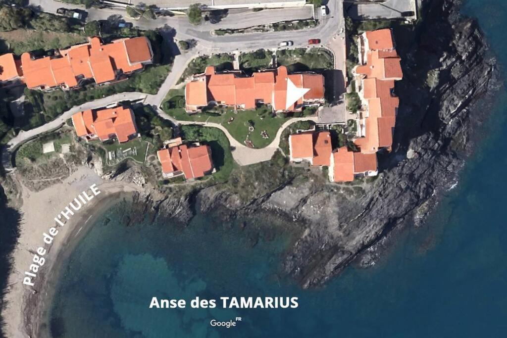Collioure Appart En Bord De Mer Plage A 50M Clim Garage Location Du Samedi Au Samedi Eksteriør bilde