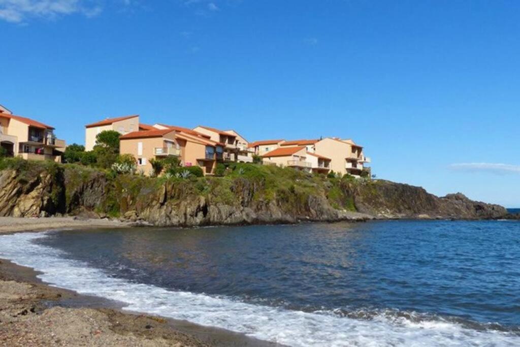 Collioure Appart En Bord De Mer Plage A 50M Clim Garage Location Du Samedi Au Samedi Eksteriør bilde