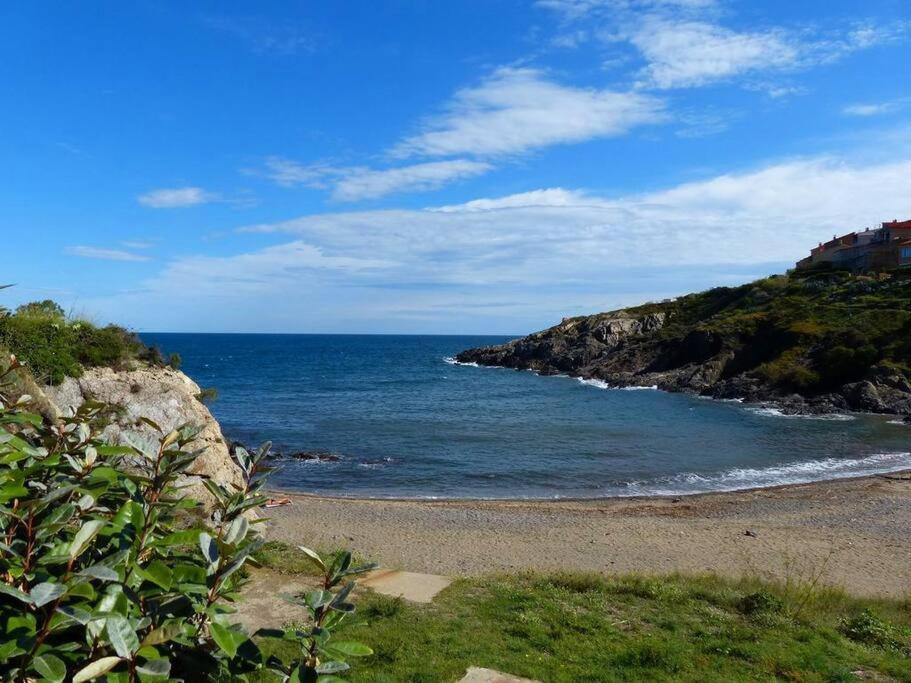 Collioure Appart En Bord De Mer Plage A 50M Clim Garage Location Du Samedi Au Samedi Eksteriør bilde
